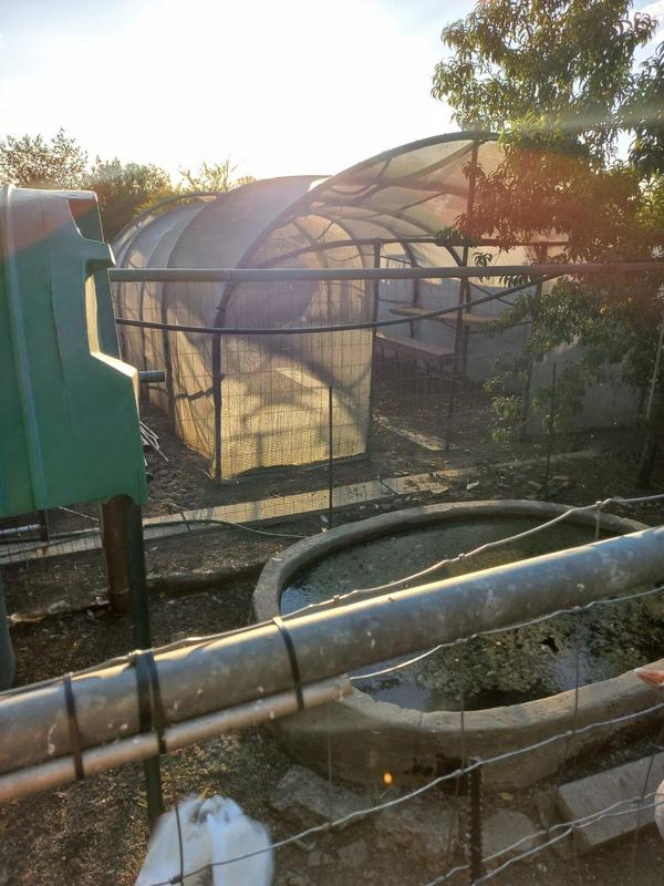 0 Bedroom Property for Sale in Koppies Free State